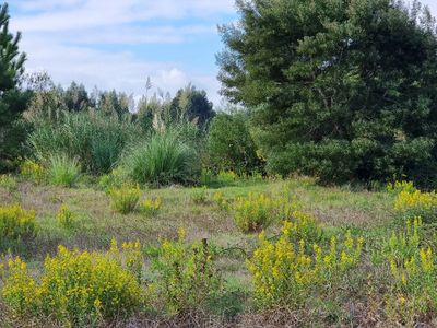 Lot with Approved Project, Caldas da Rainha Center