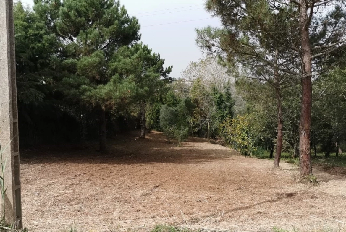 Moradia para construção no Carvalhal