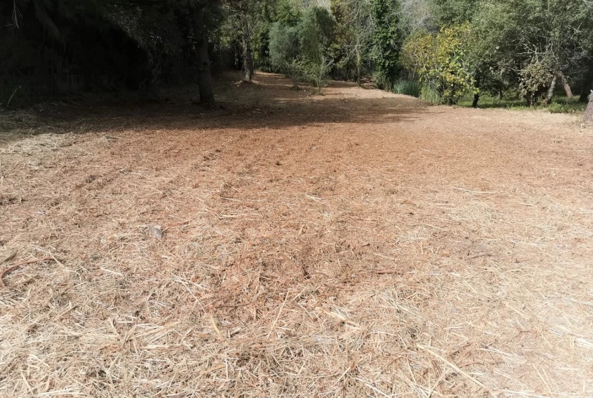 Moradia para construção no Carvalhal