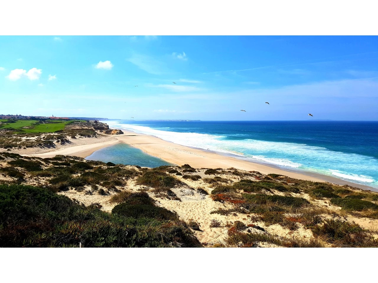011 – PRO – BL556 – 24 MORADIAS EM FRENTE À PRAIA D’EL REY