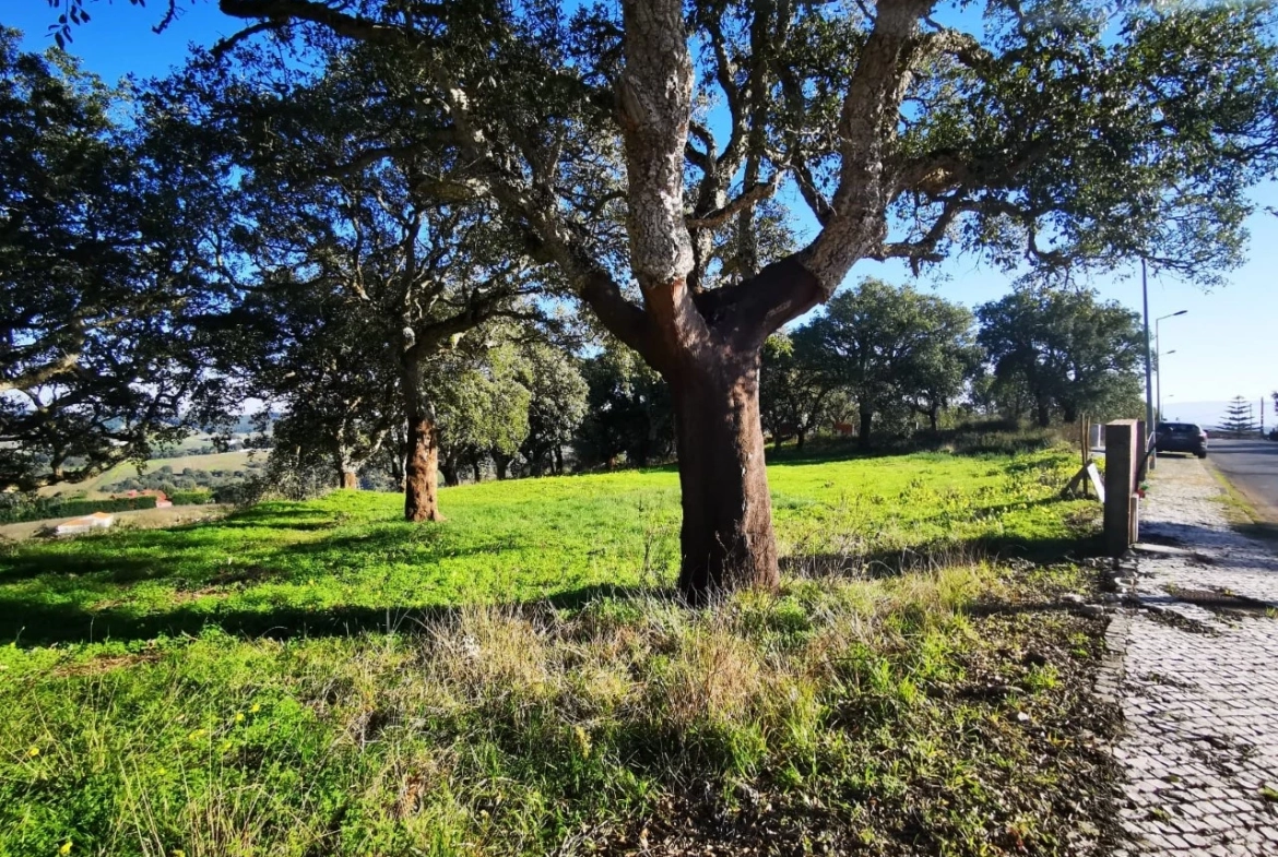 LOTE EM ÓBIDOS COM VISTA DESAFOGADA SOBRE O CAMPO
