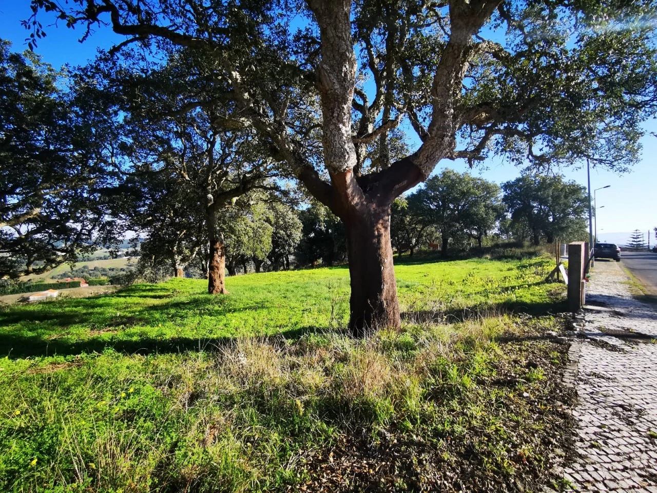 lote2 LOTE EM ÓBIDOS COM VISTA DESAFOGADA SOBRE O CAMPO