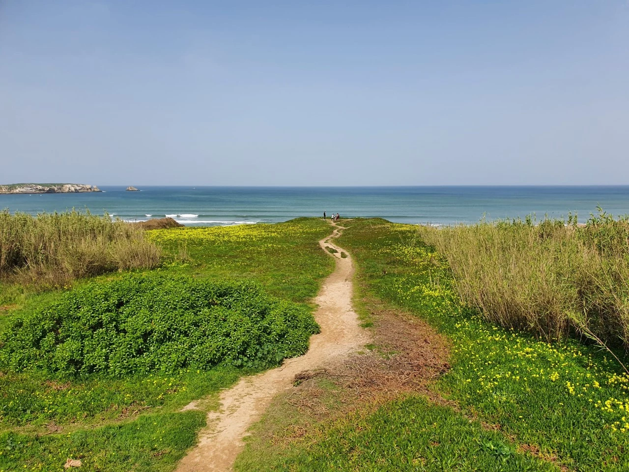 trilha_praia APARTAMENTO NO BALEAL A APENAS 350 METROS DO MAR