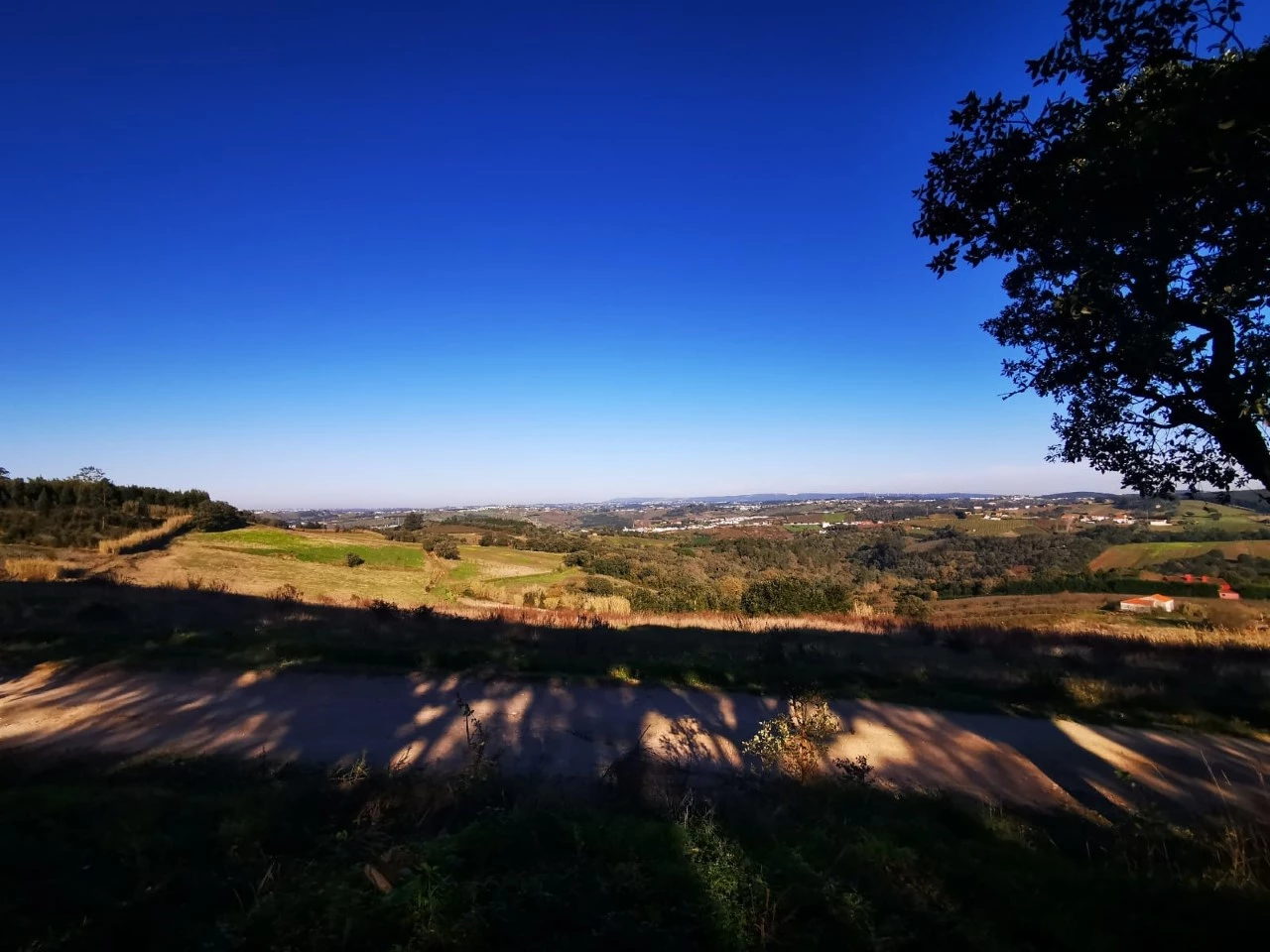 visual_lote LOTE EM ÓBIDOS COM VISTA DESAFOGADA SOBRE O CAMPO