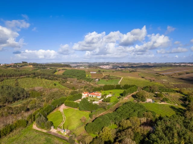 MORADIA TÉRREA NO CADAVAL NUM TERRENO COM 9760M2, COM MUITA PRIVACIDADE