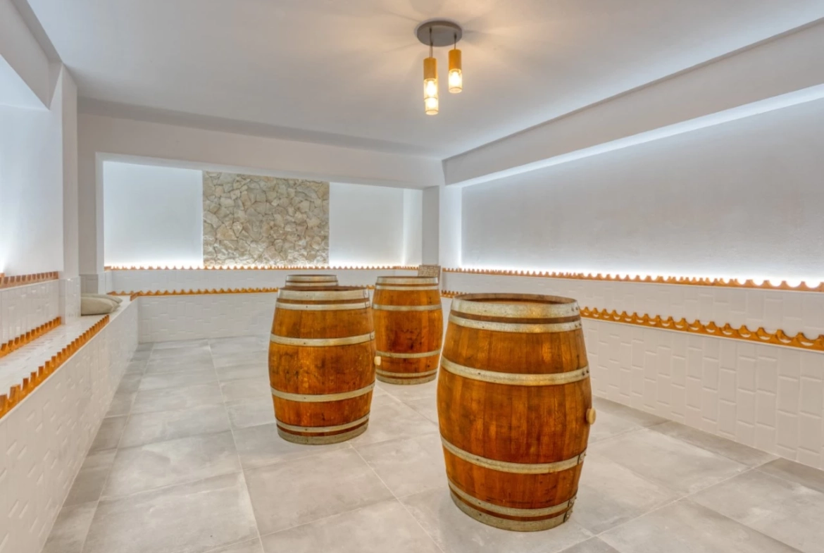 MORADIA DE LUXO COM VINHA A 10 MINUTOS DE ÓBIDOS