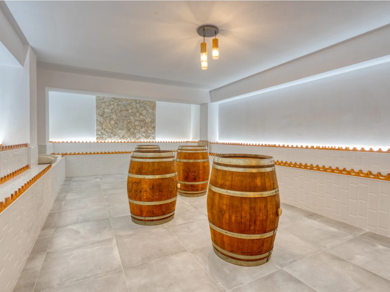 39 MORADIA DE LUXO COM VINHA A 10 MINUTOS DE ÓBIDOS