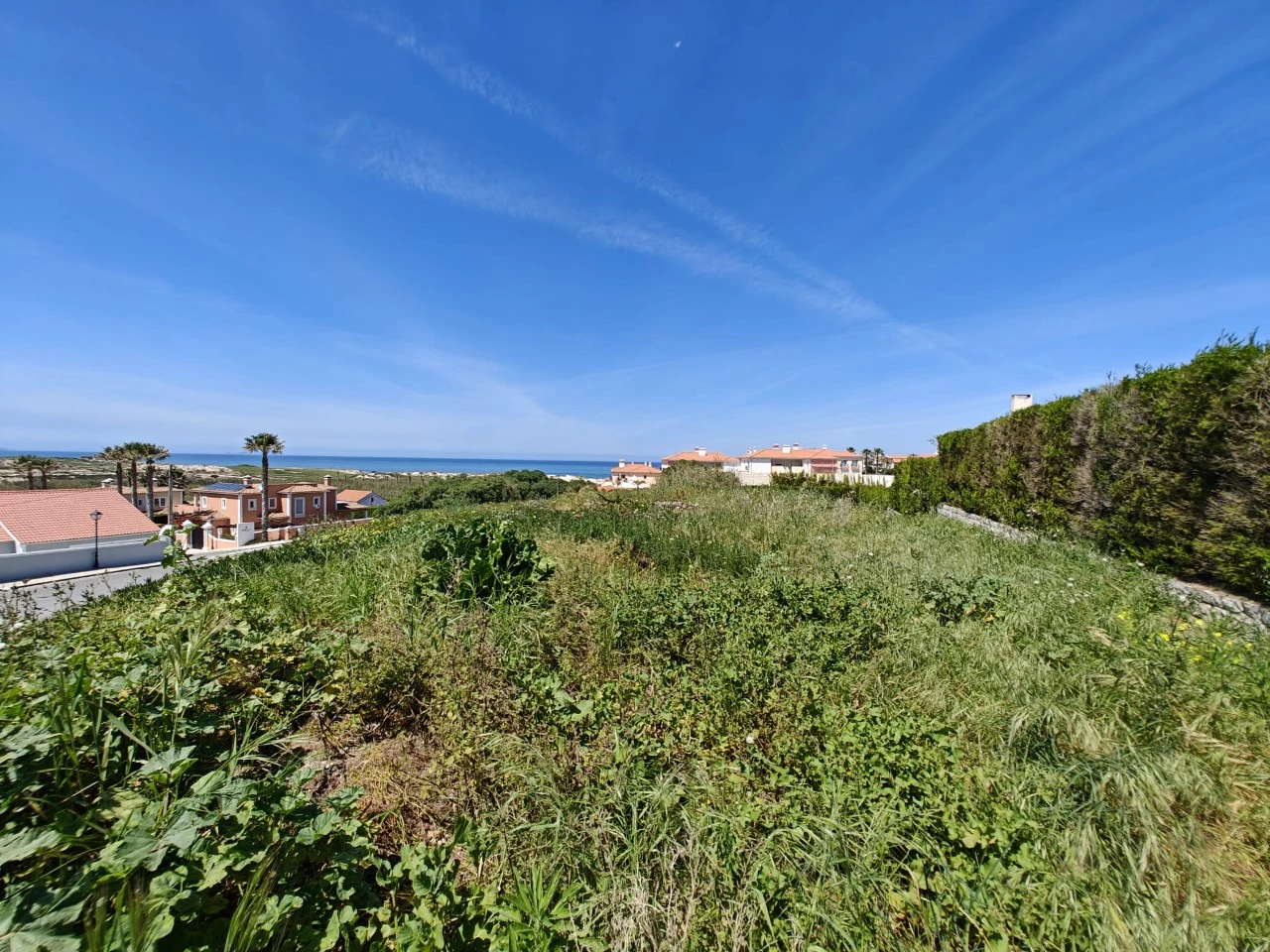 06 TERRENO COM VISTA MAR JUNTO AOS CAMPOS DE GOLFE – ÓBIDOS > AMOREIRA