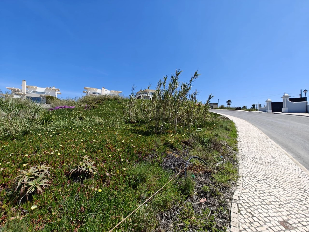 07 TERRENO COM VISTA MAR JUNTO AOS CAMPOS DE GOLFE – ÓBIDOS > AMOREIRA