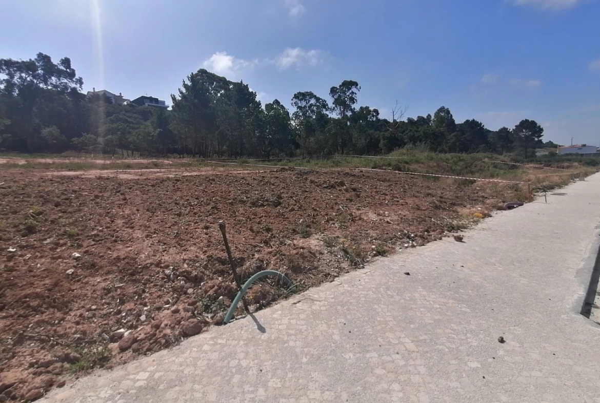 LOTES EM CALDAS DA RAINHA