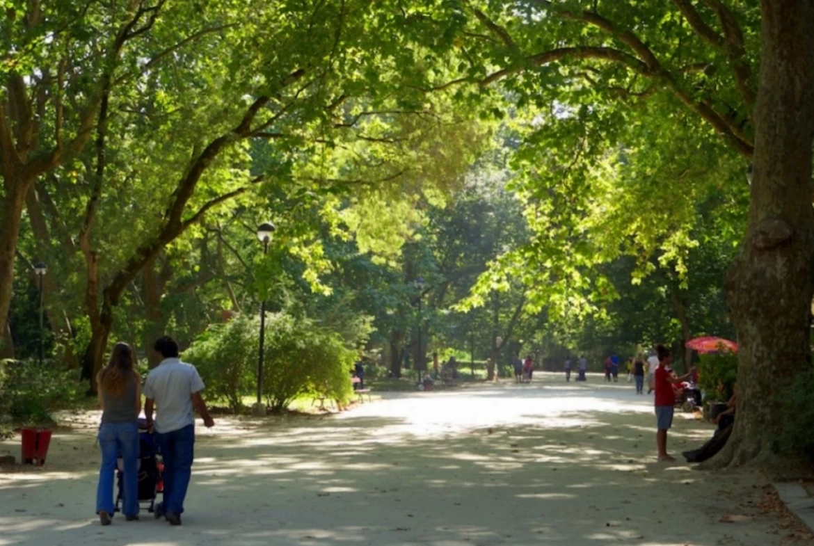LOTES EM CALDAS DA RAINHA