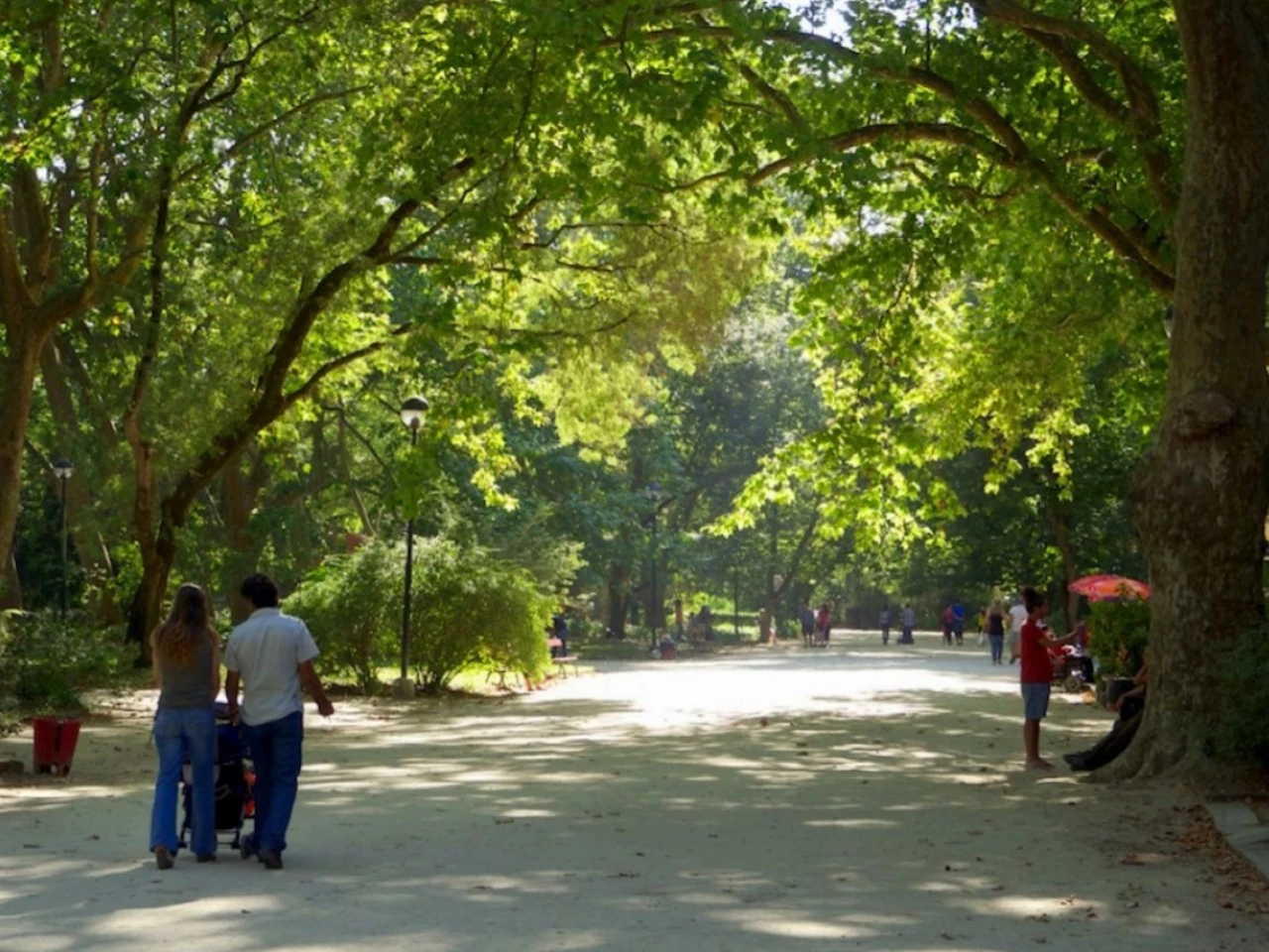 12 LOTES EM CALDAS DA RAINHA