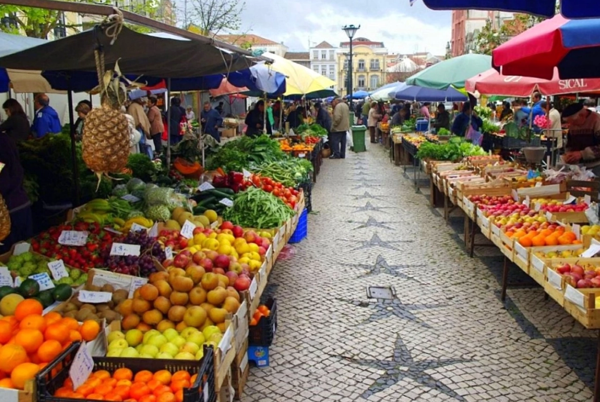 LOTES EM CALDAS DA RAINHA