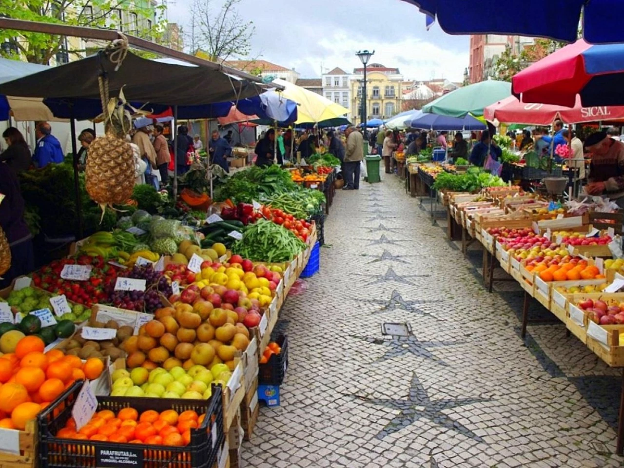 13 LOTES EM CALDAS DA RAINHA