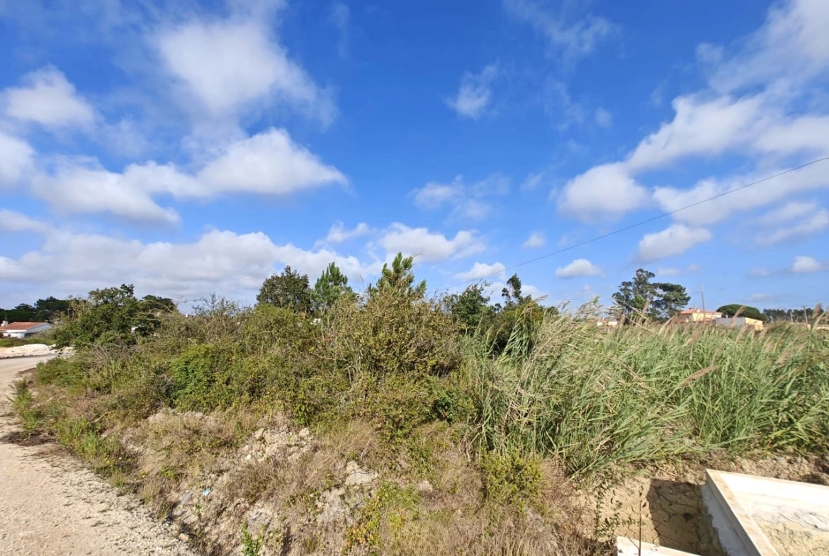 Terreno com possibilidade de construção de 3.920 m²