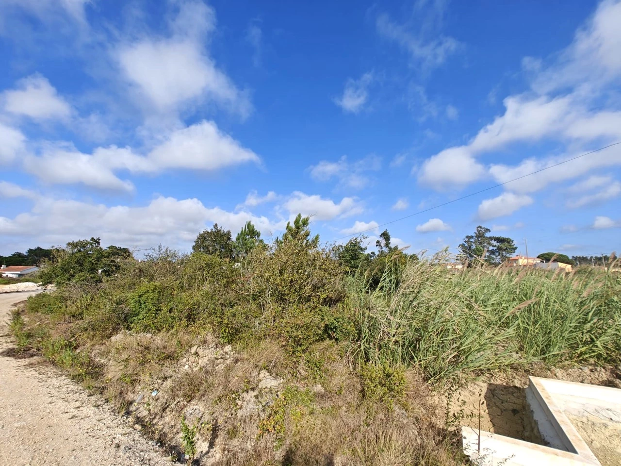 03 Terreno com possibilidade de construção de 3.920 m²