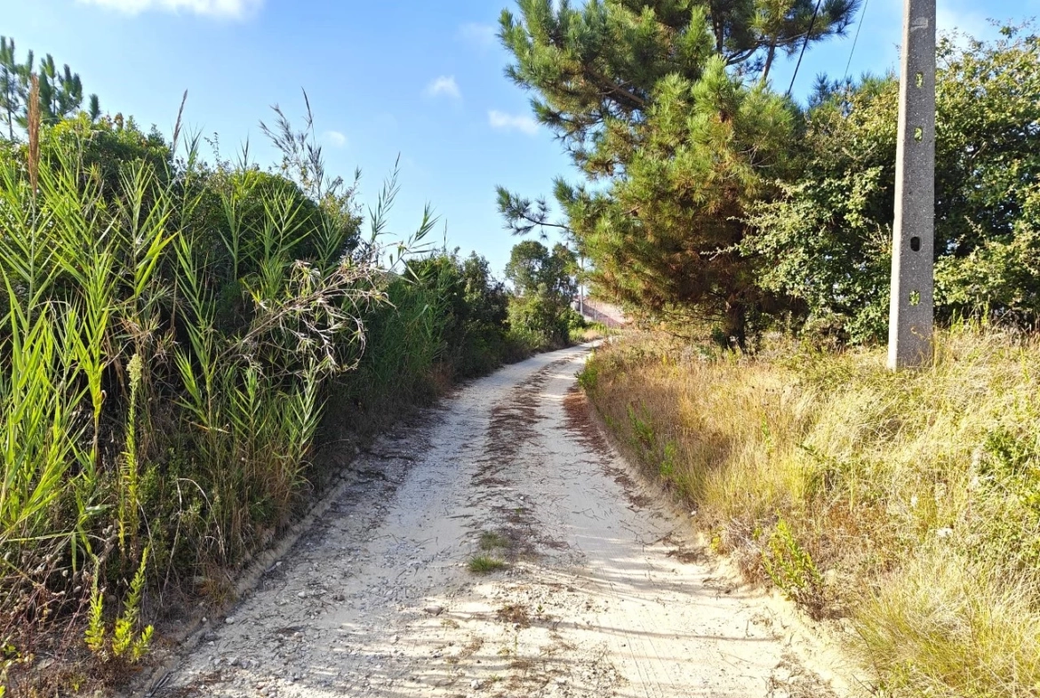Terreno com possibilidade de construção de 3.920 m²