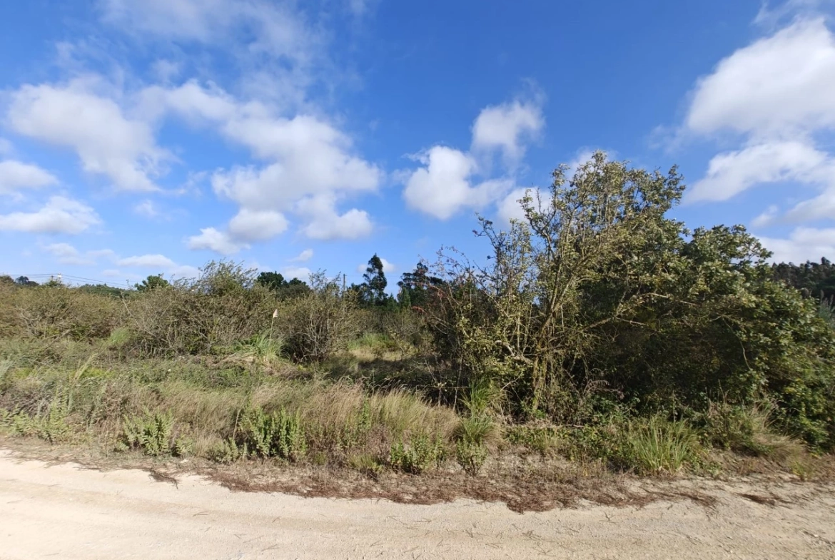 Terreno com possibilidade de construção de 3.920 m²