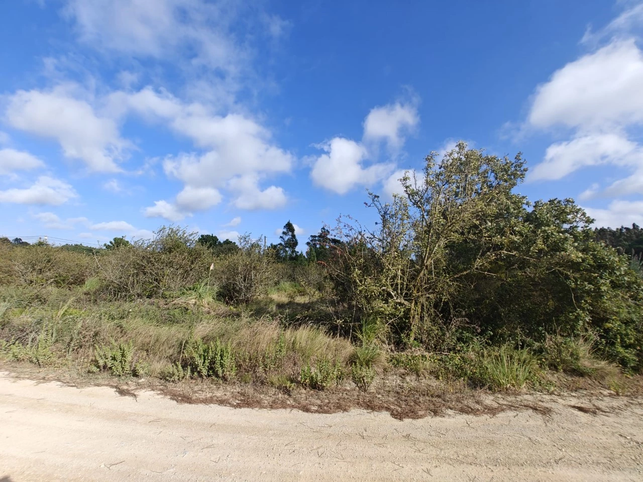 05 Terreno com possibilidade de construção de 3.920 m²