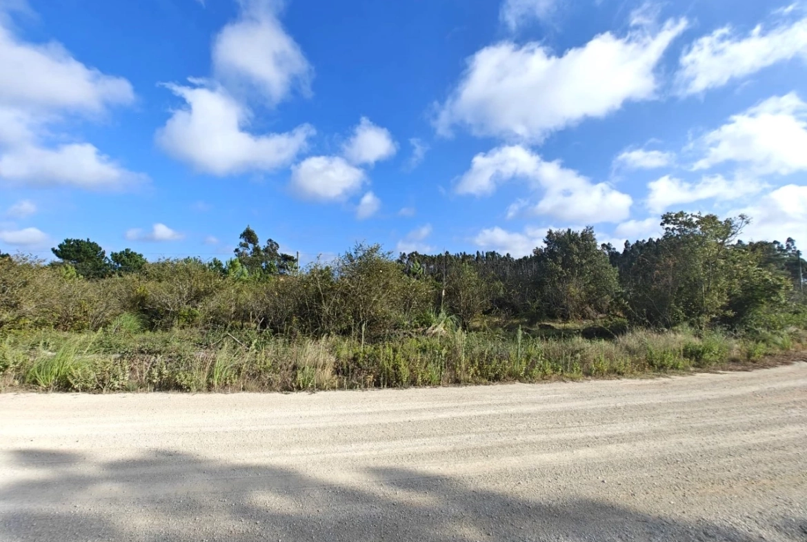 Terreno com possibilidade de construção de 3.920 m²
