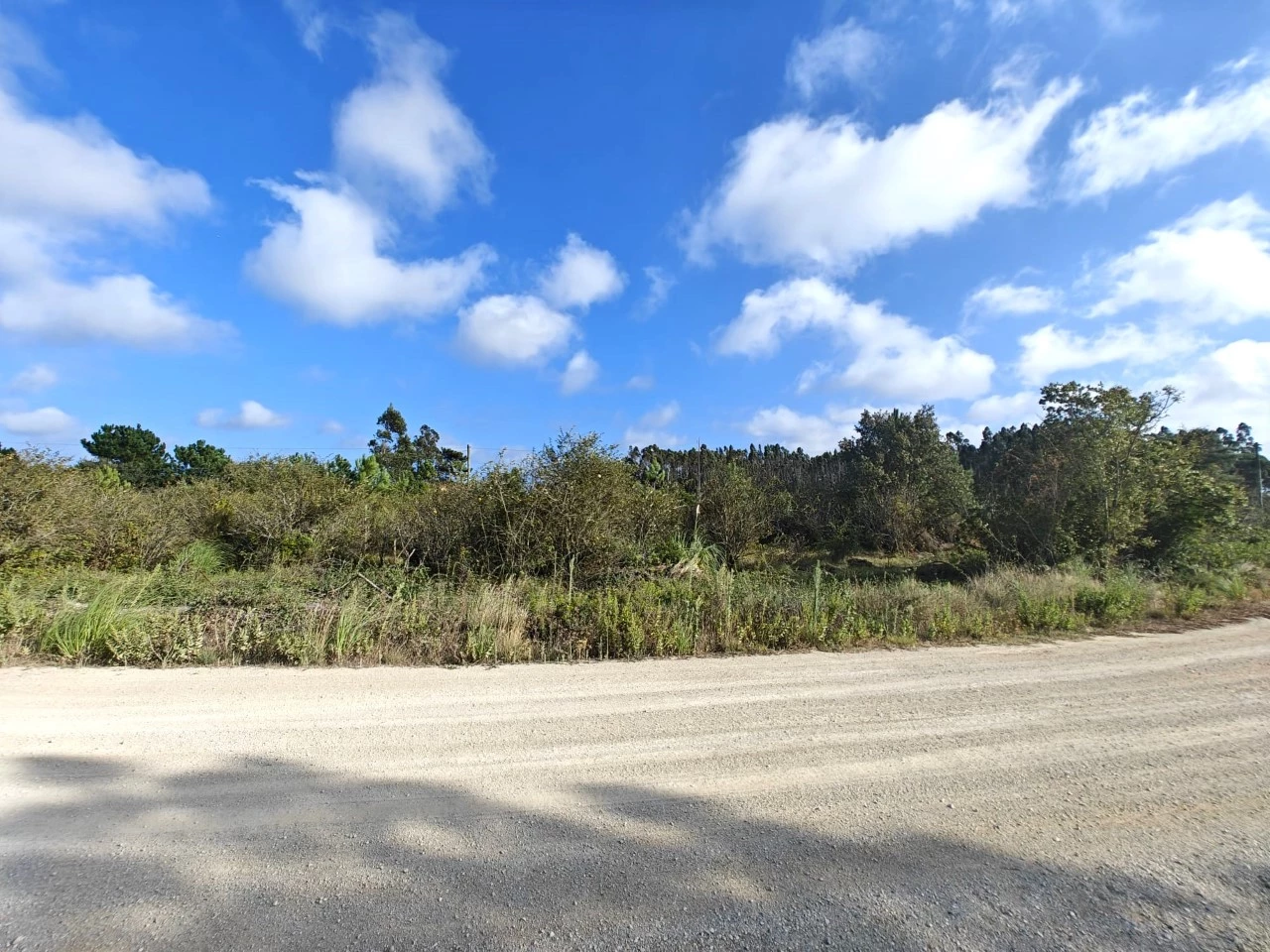 06 Terreno com possibilidade de construção de 3.920 m²