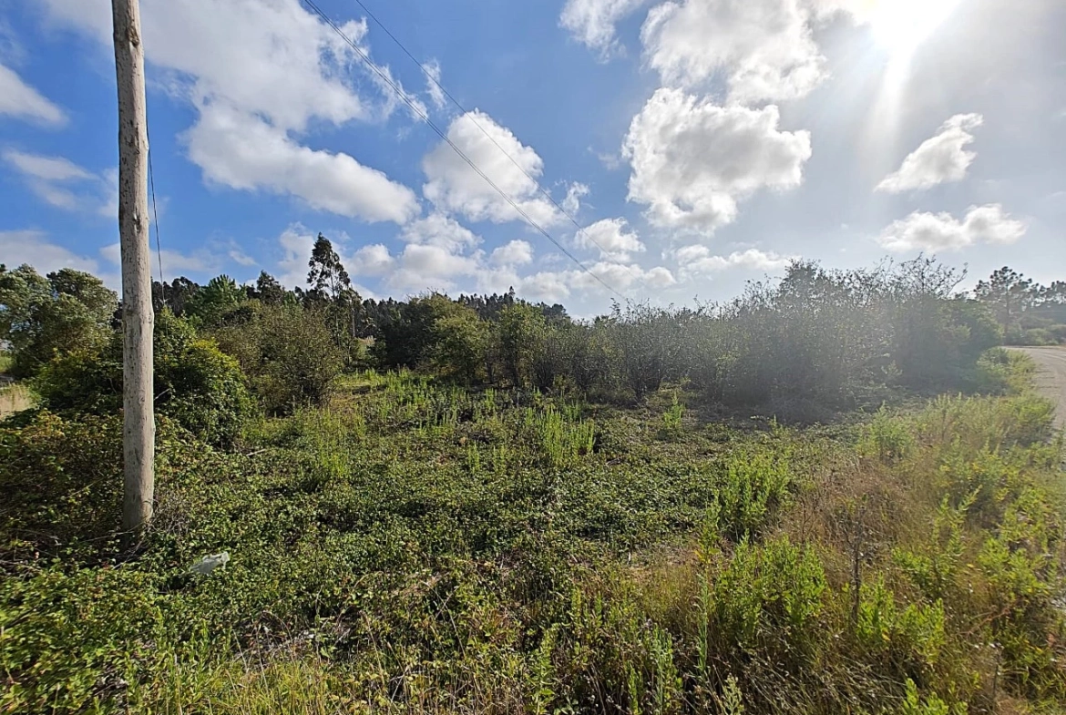 Terreno com possibilidade de construção de 3.920 m²