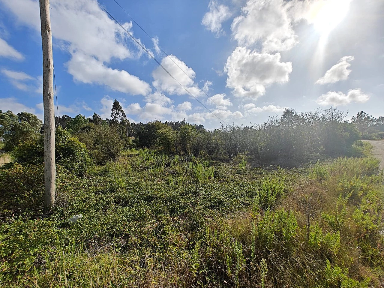 08 Terreno com possibilidade de construção de 3.920 m²