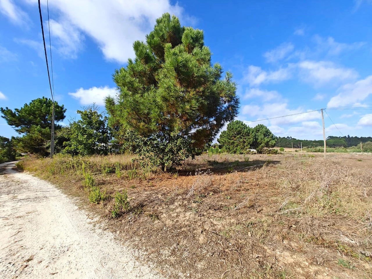 09 Terreno com possibilidade de construção de 3.920 m²