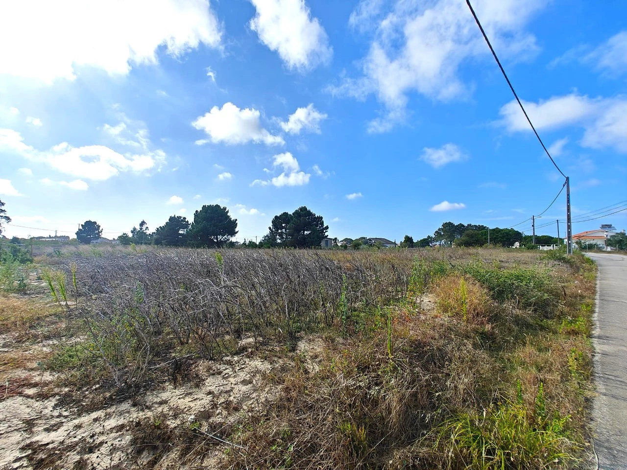 12 Terreno com possibilidade de construção de 3.920 m²