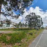 terreno foz arelho caldas da rainha
