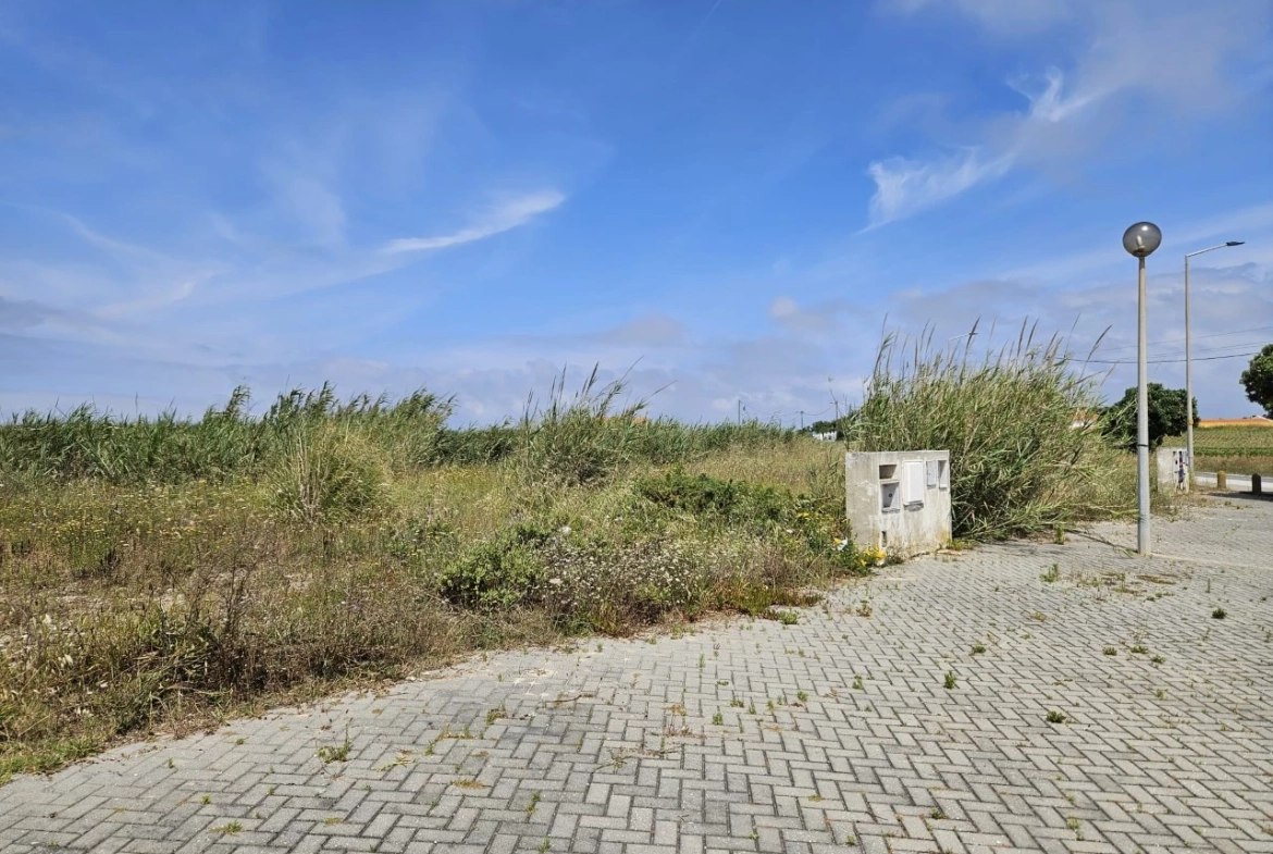 Lotes a apenas 800 metros da praia