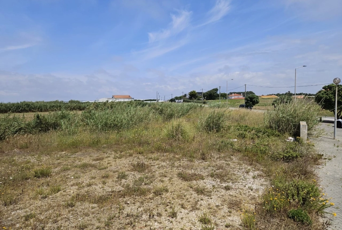Lotes a apenas 800 metros da praia