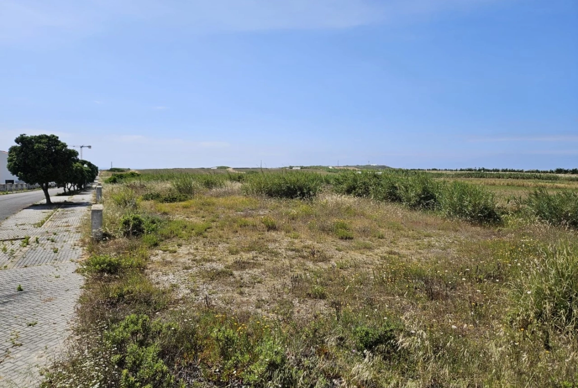 Lotes a apenas 800 metros da praia