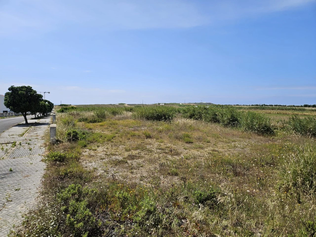 07 Lotes a apenas 800 metros da praia