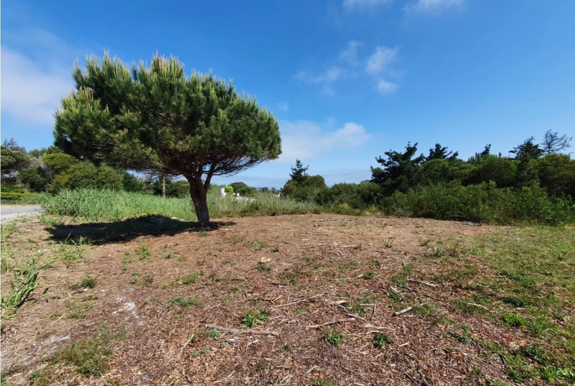 Moradia na 1ª linha Lagoa de Óbidos