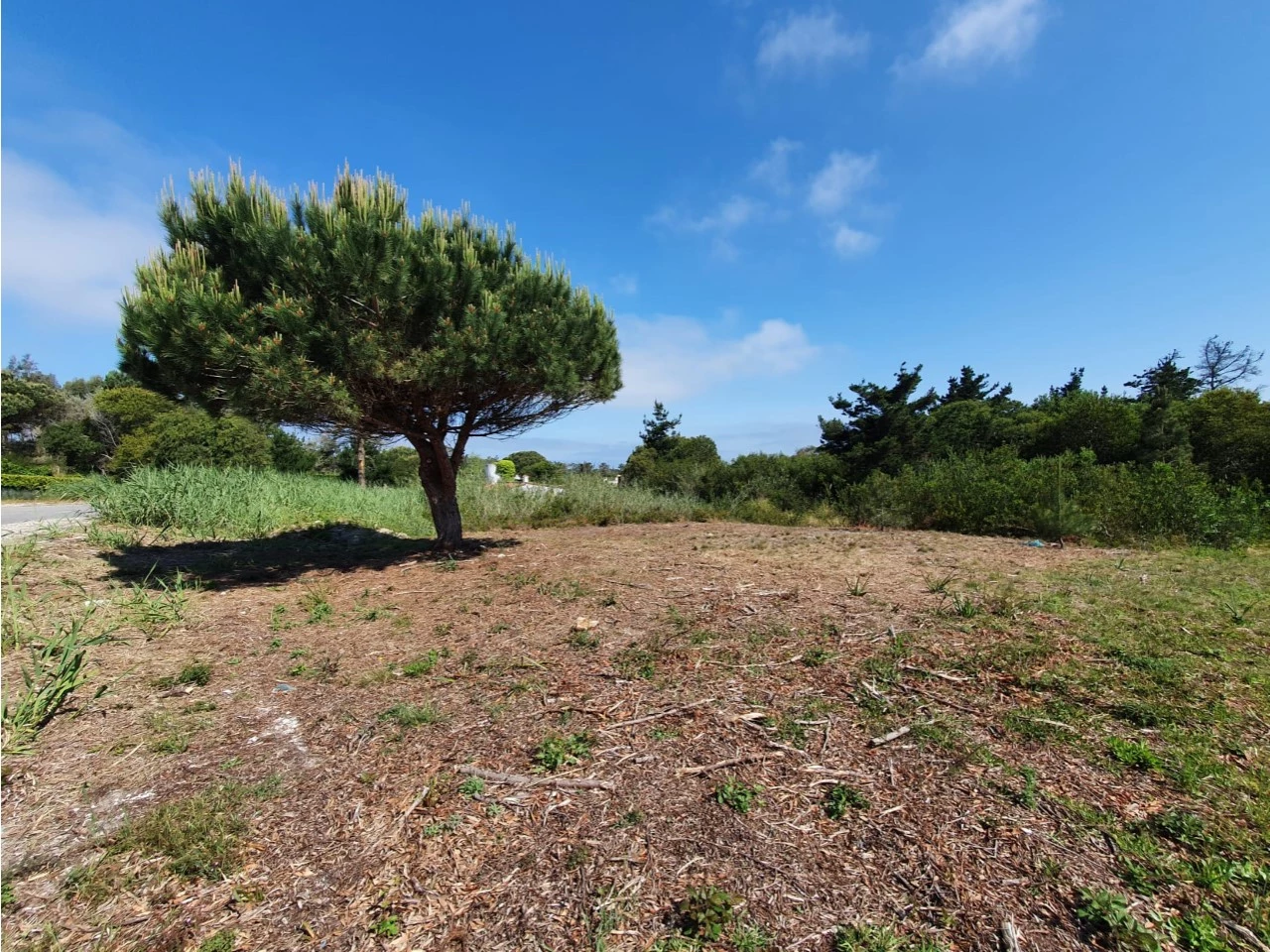 ID38149601-0000-0500-0000-000015263a97.jpg Moradia na 1ª linha Lagoa de Óbidos