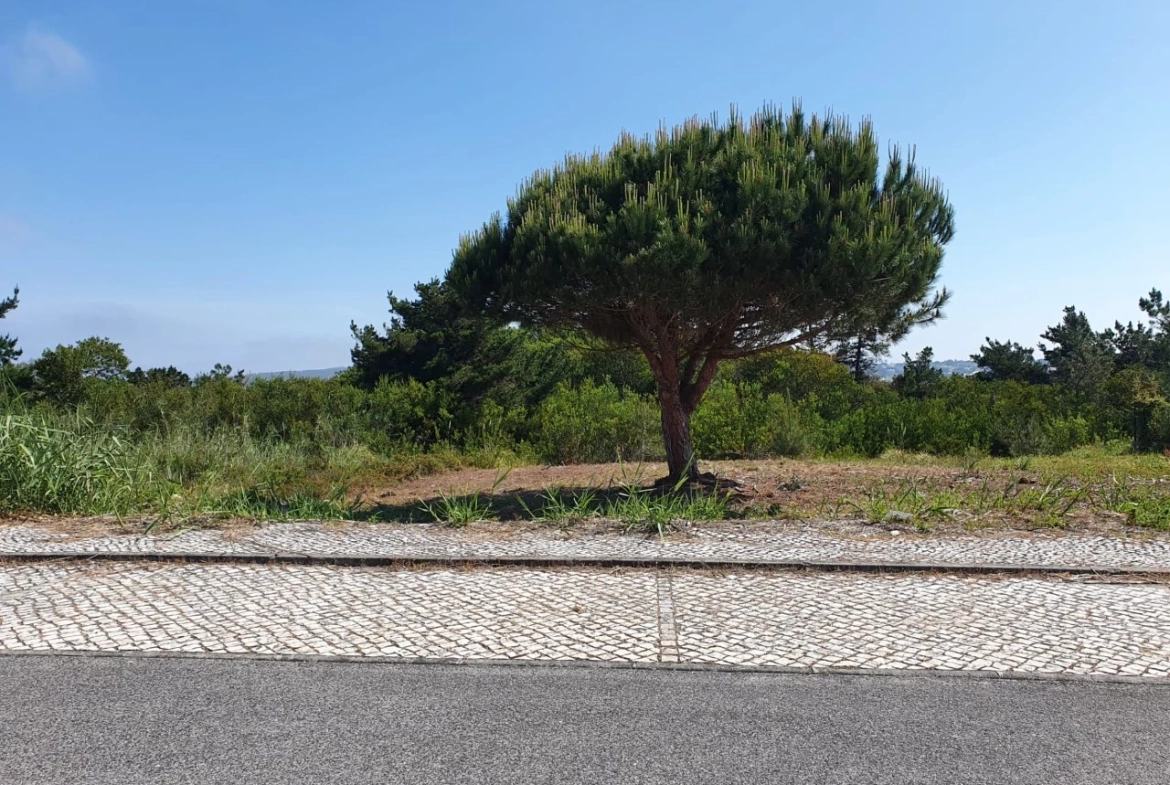 Moradia na 1ª linha Lagoa de Óbidos
