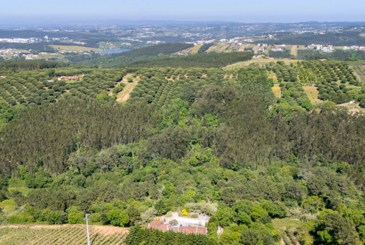 Moradia Exclusiva: Natureza, História e Praia à Porta