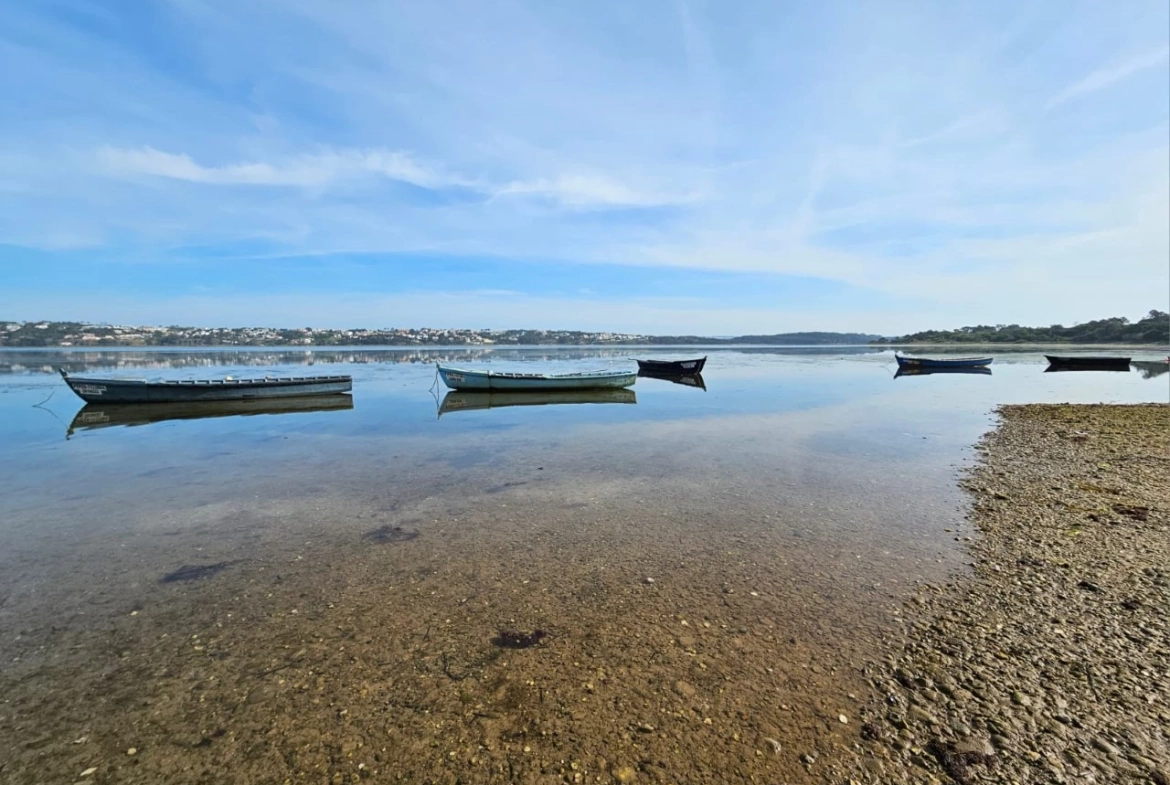 Moradia Exclusiva: Natureza, História e Praia à Porta