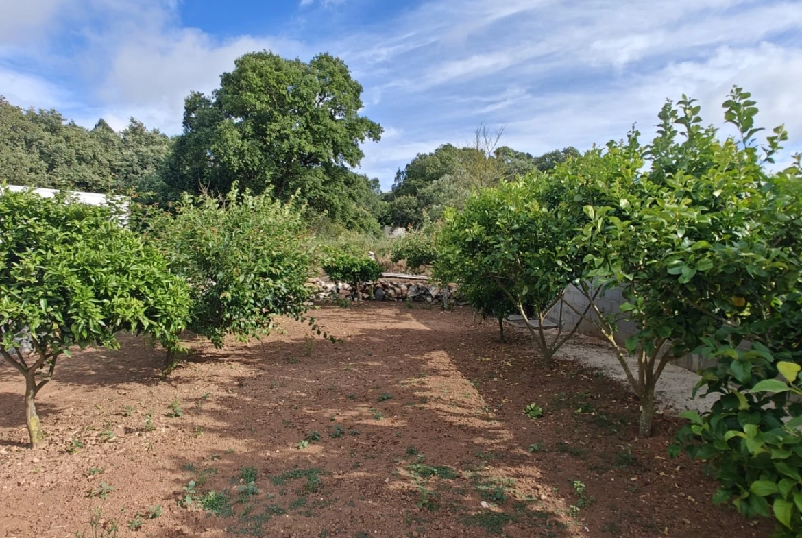 Moradia rodeada pela natureza e com vista para a serra