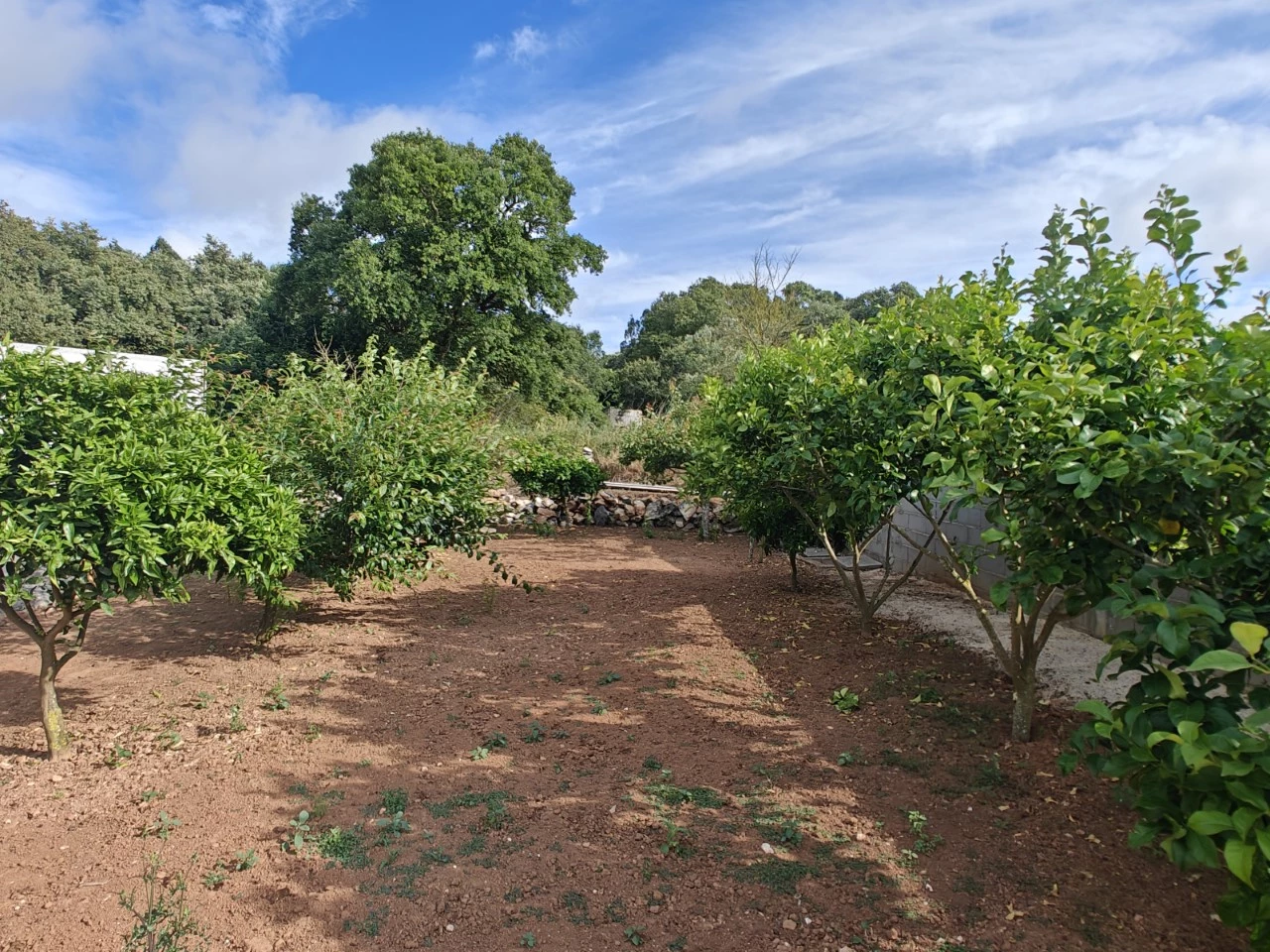 ID5c6da001-0000-0500-0000-000015f53ead.jpg Moradia rodeada pela natureza e com vista para a serra