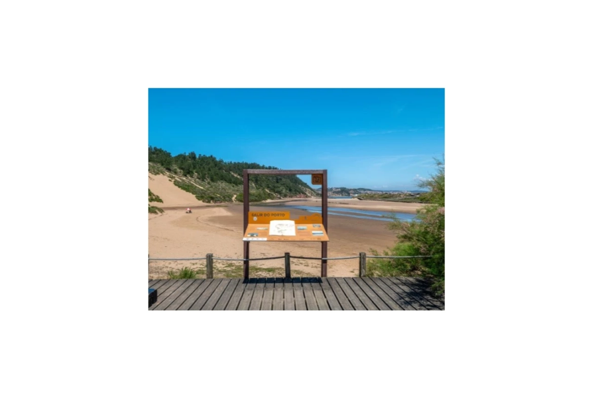 Magnífica moradia perto das praias, entre a Foz do Arelho e São Martinho do Porto