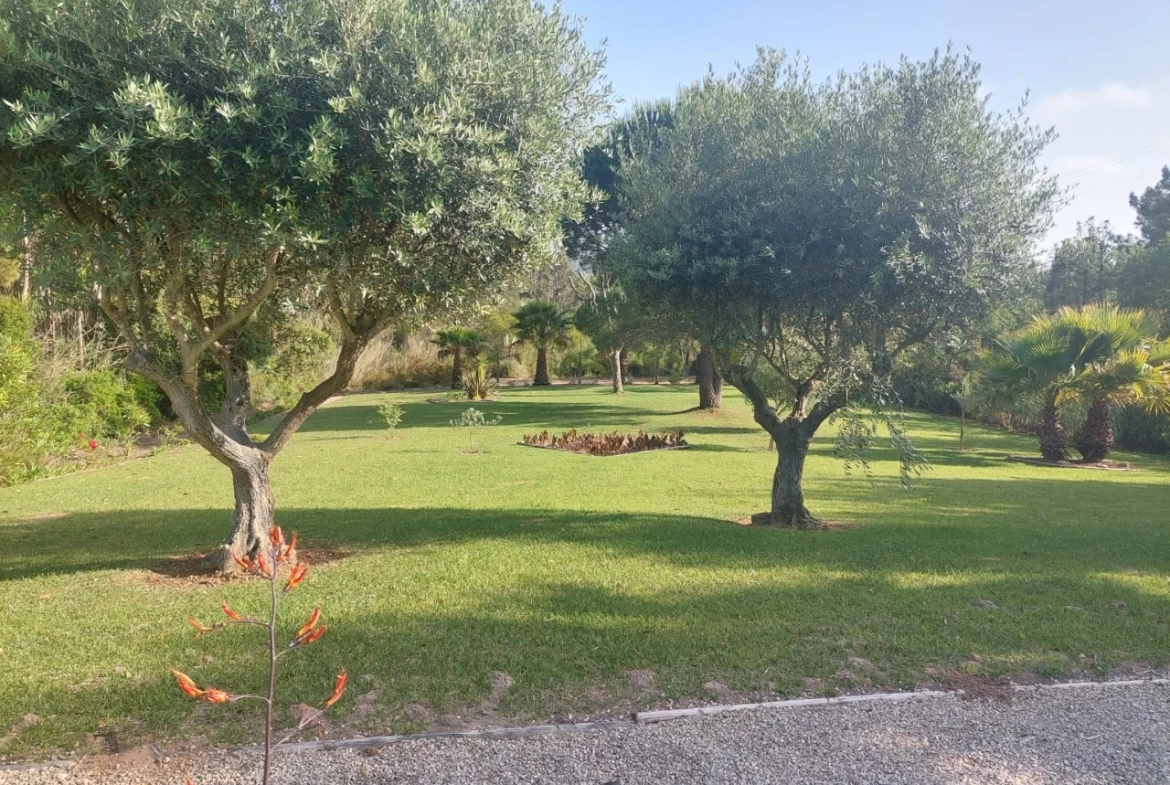 Moradia com piscina e vista sobre a Lagoa de Óbidos