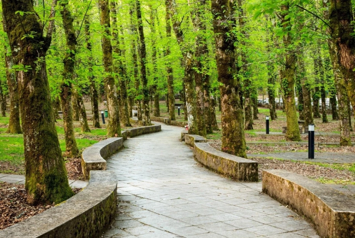 Moradia com amplo terreno e vista deslumbrante de campo e serra!