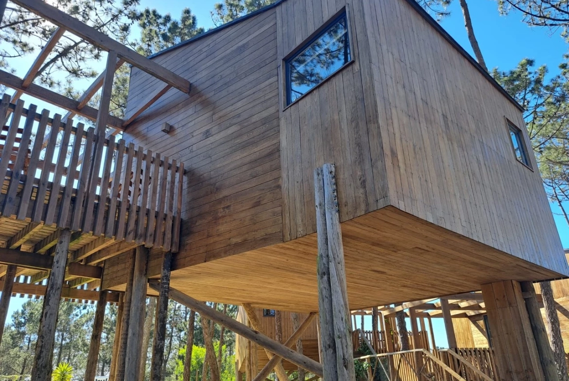 Eco Surf Resort entre a praia do Baleal e a Praia D’el Rey Golf&Beach Resort