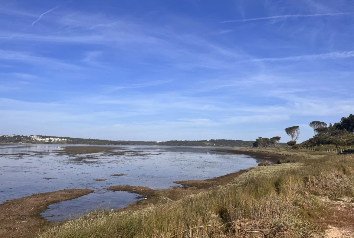 Moradia T4 a 2 passos do castelo de Óbidos e a menos de 15 minutos das belas praias do Oeste.
