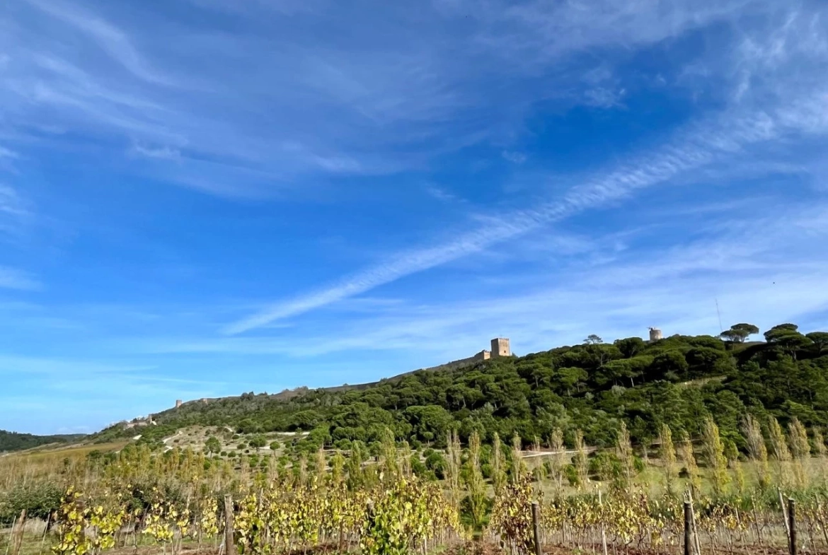 Moradia T4 a 2 passos do castelo de Óbidos e a menos de 15 minutos das belas praias do Oeste.
