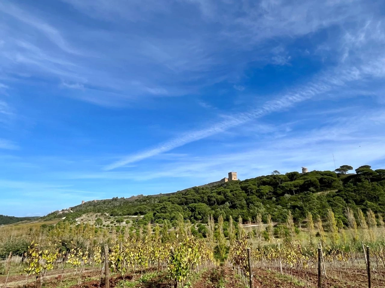 ID0393b301-0000-0500-0000-000017994673.jpg Moradia T4 a 2 passos do castelo de Óbidos e a menos de 15 minutos das belas praias do Oeste.