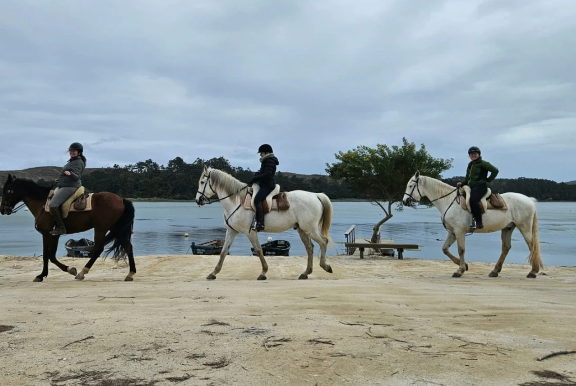 Moradia a apenas 220 metros da Lagoa de Óbidos