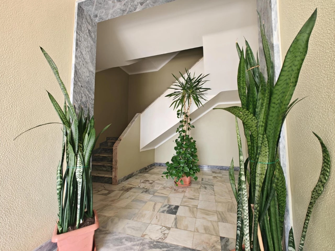 Apartamento T3 com boa exposição solar e ótima rentabilidade